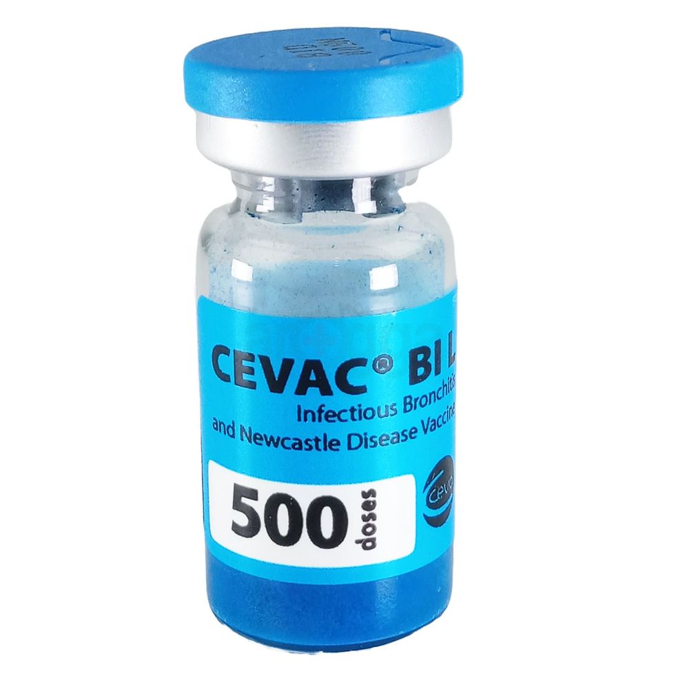 Cevac BIL 500d - Arogga Online Pharmacy