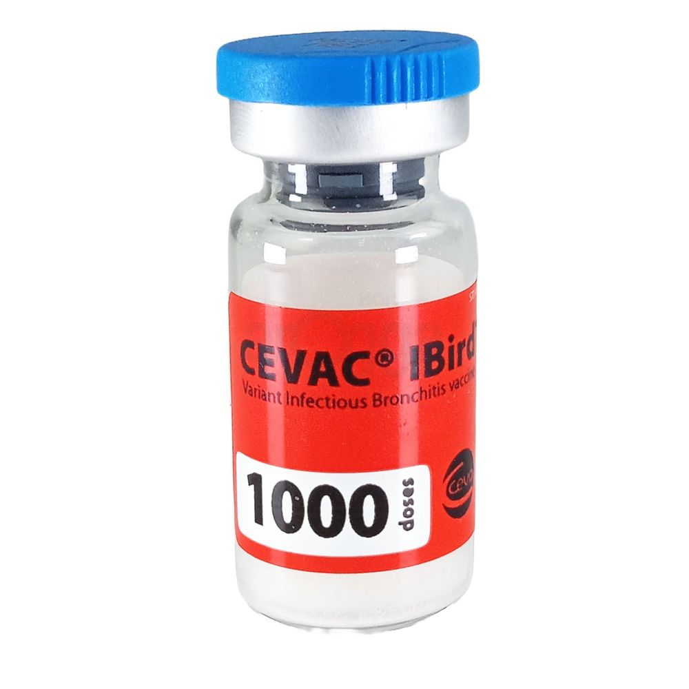 Cevac IBird 1000d  