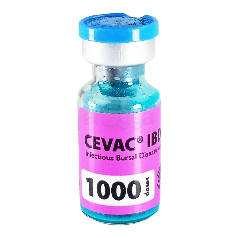 Cevac IBDL 1000d  