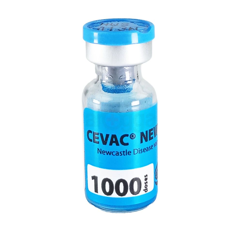 Cevac New L 1000d  