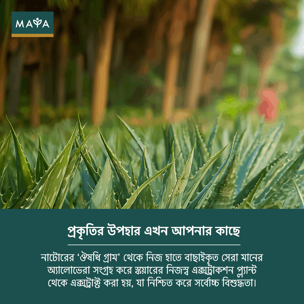 MAYA True Herbs Aloe Vera Gel - 250ml  