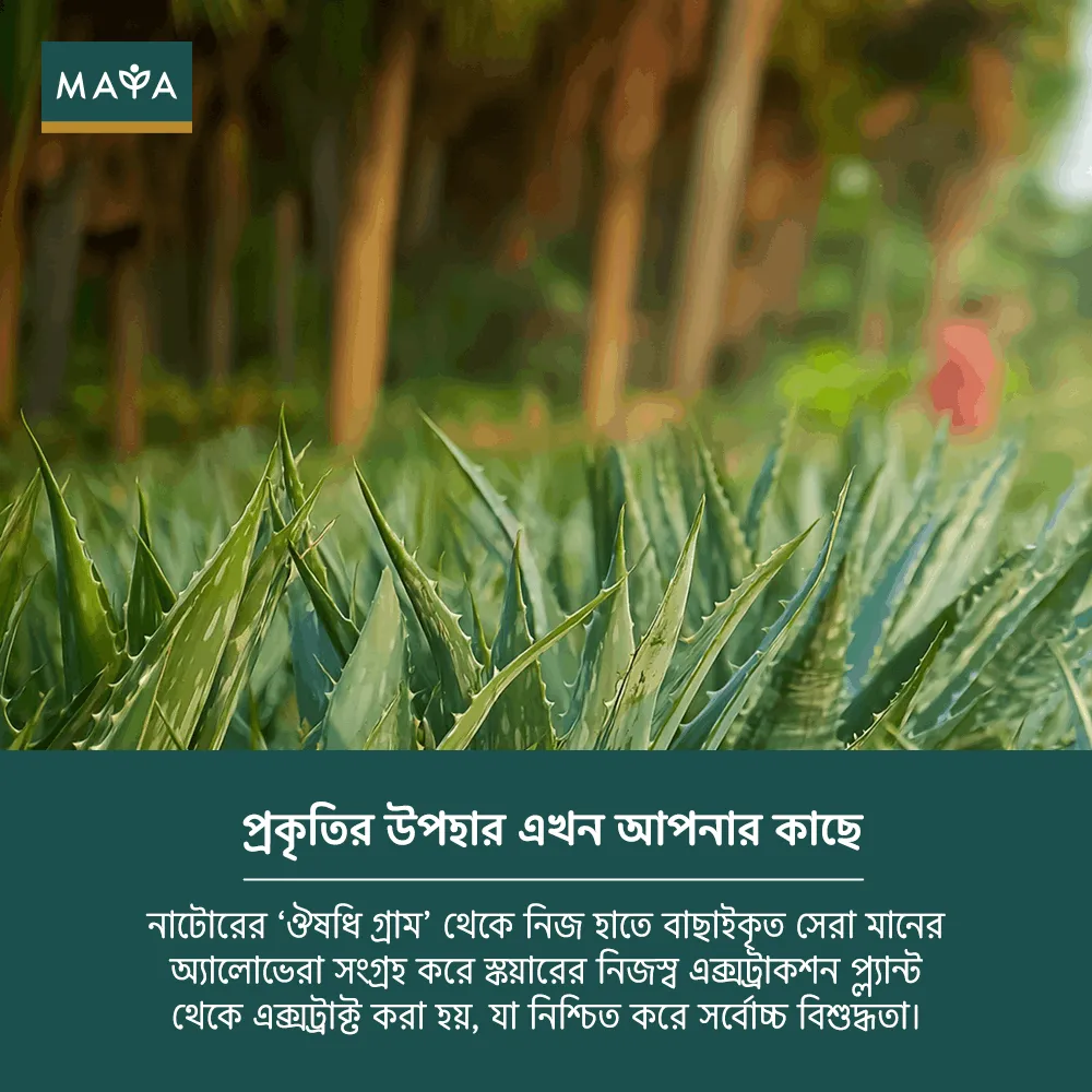 MAYA True Herbs Aloe Vera Gel - 250ml  