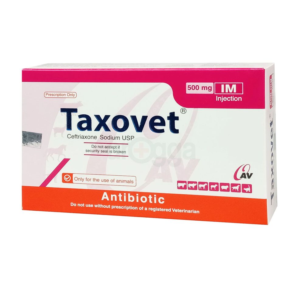 Traxovet 500mg IM  