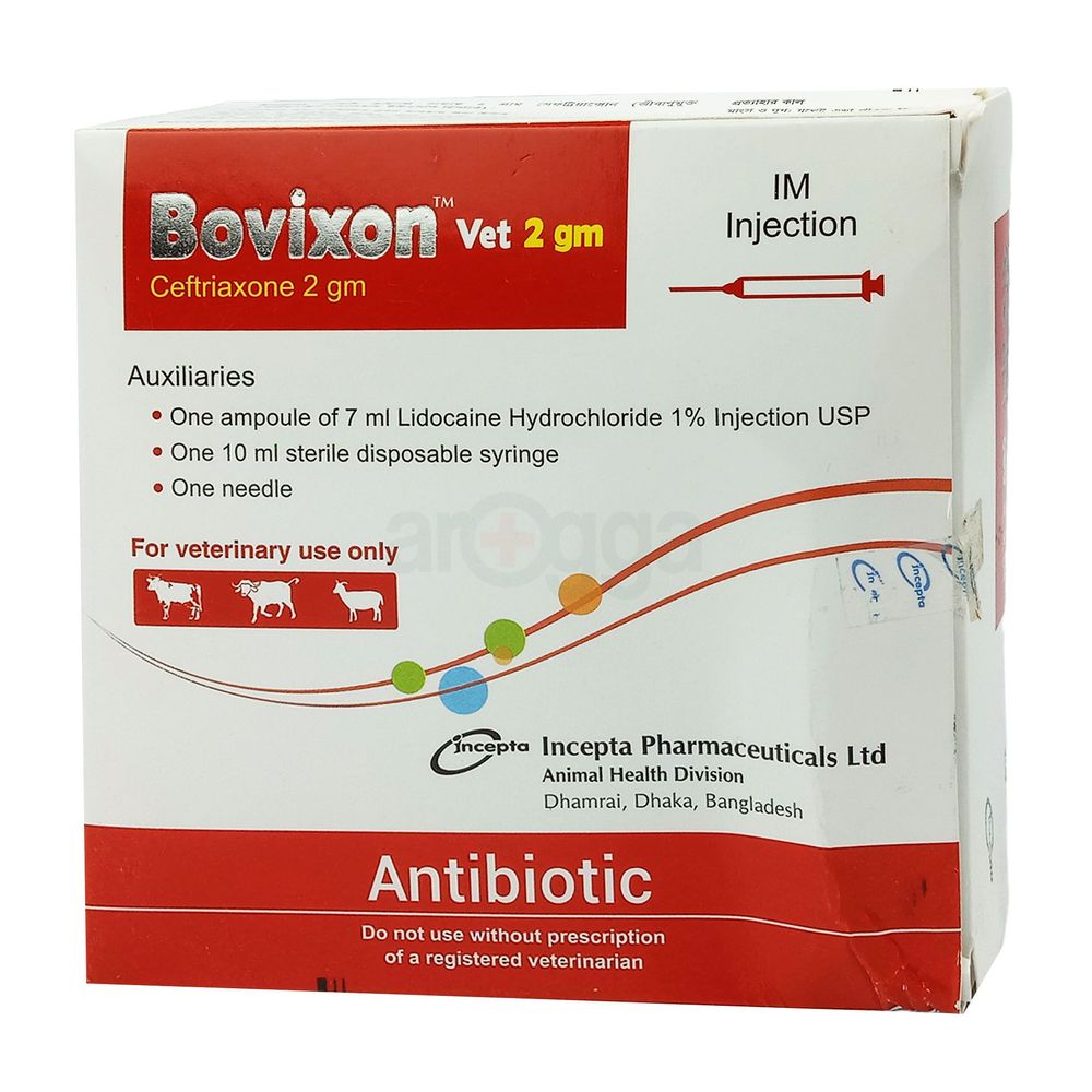 Bovixon Vet 2gm Injection  