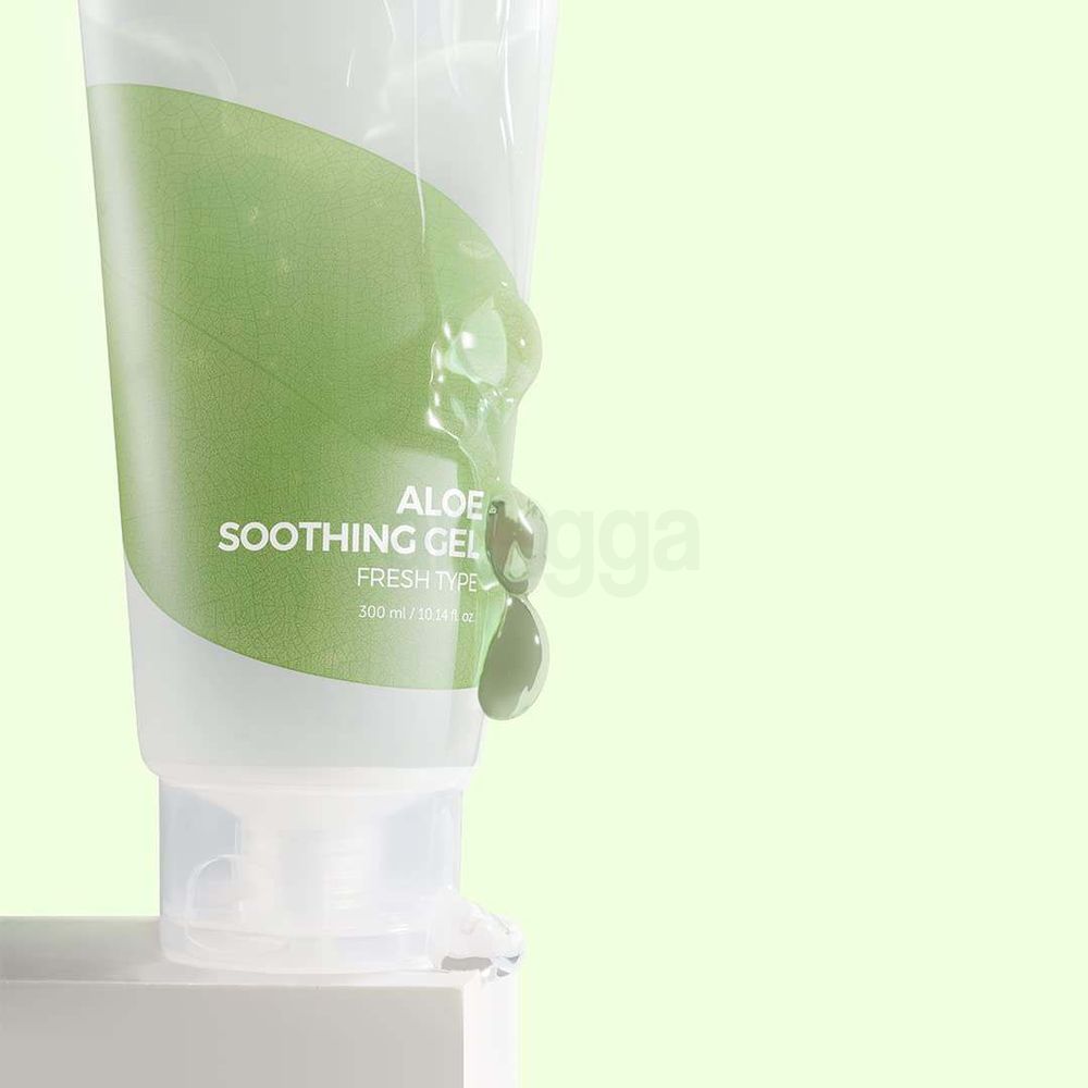 Isntree Aloe Soothing Fresh Gel  
