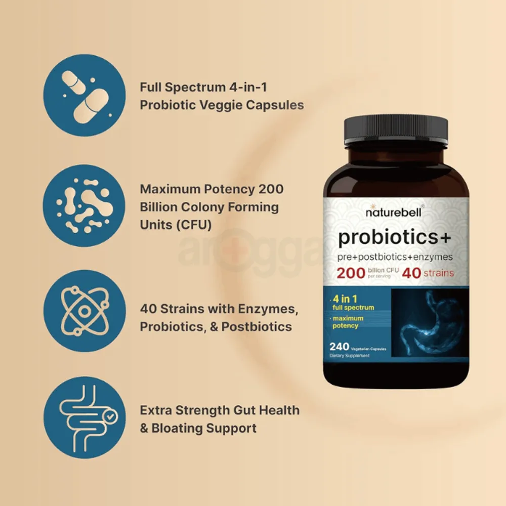 NatureBell Probiotics 200 Billion CFU Per Serving | 240 Veggie Capsules  