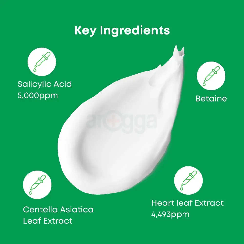 Nine Less A-Control Heartleaf & BHA Cleanser  