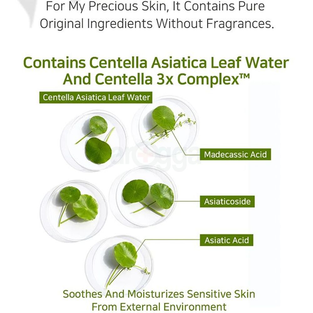 APLB Panthenol Retinol Ampoule 36.5% Serum  