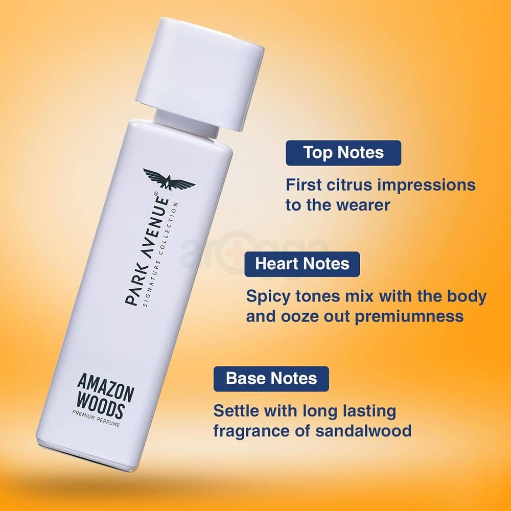 Park Avenue Amazon Woods Perfume for Men  