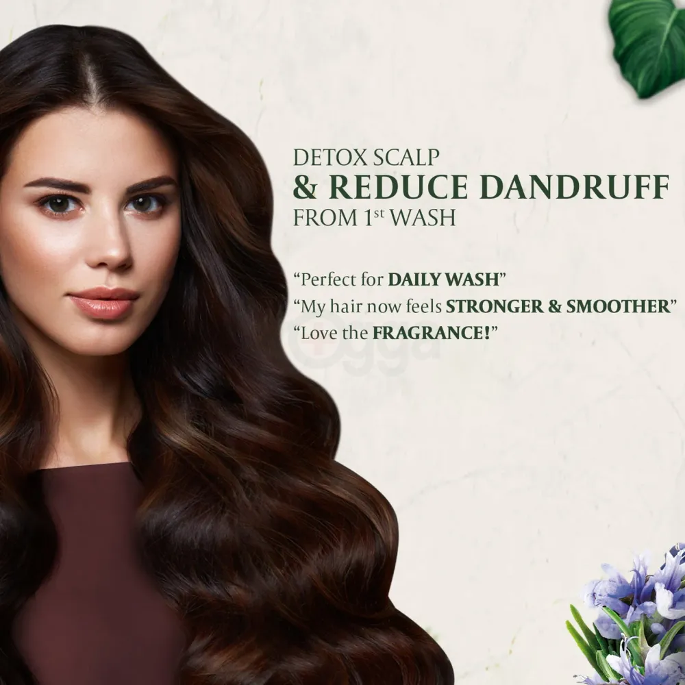 Parachute Advansed Daily Moisture Shampoo with Cocount and Avocado  