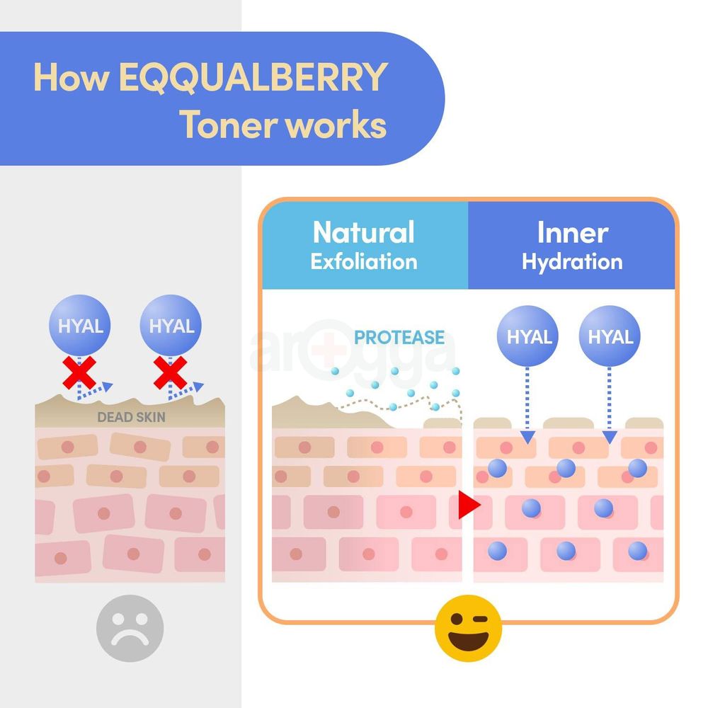 Eqqualberry Moisture Exfoliating Swimming Pool Toner  