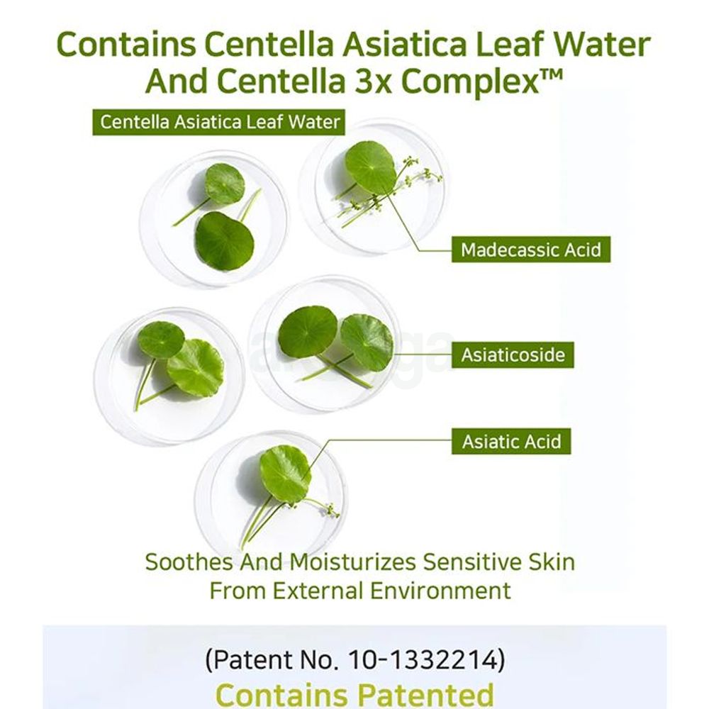 APLB PDRN Vita Cen 44.6% Vitamin C Facial Cream  