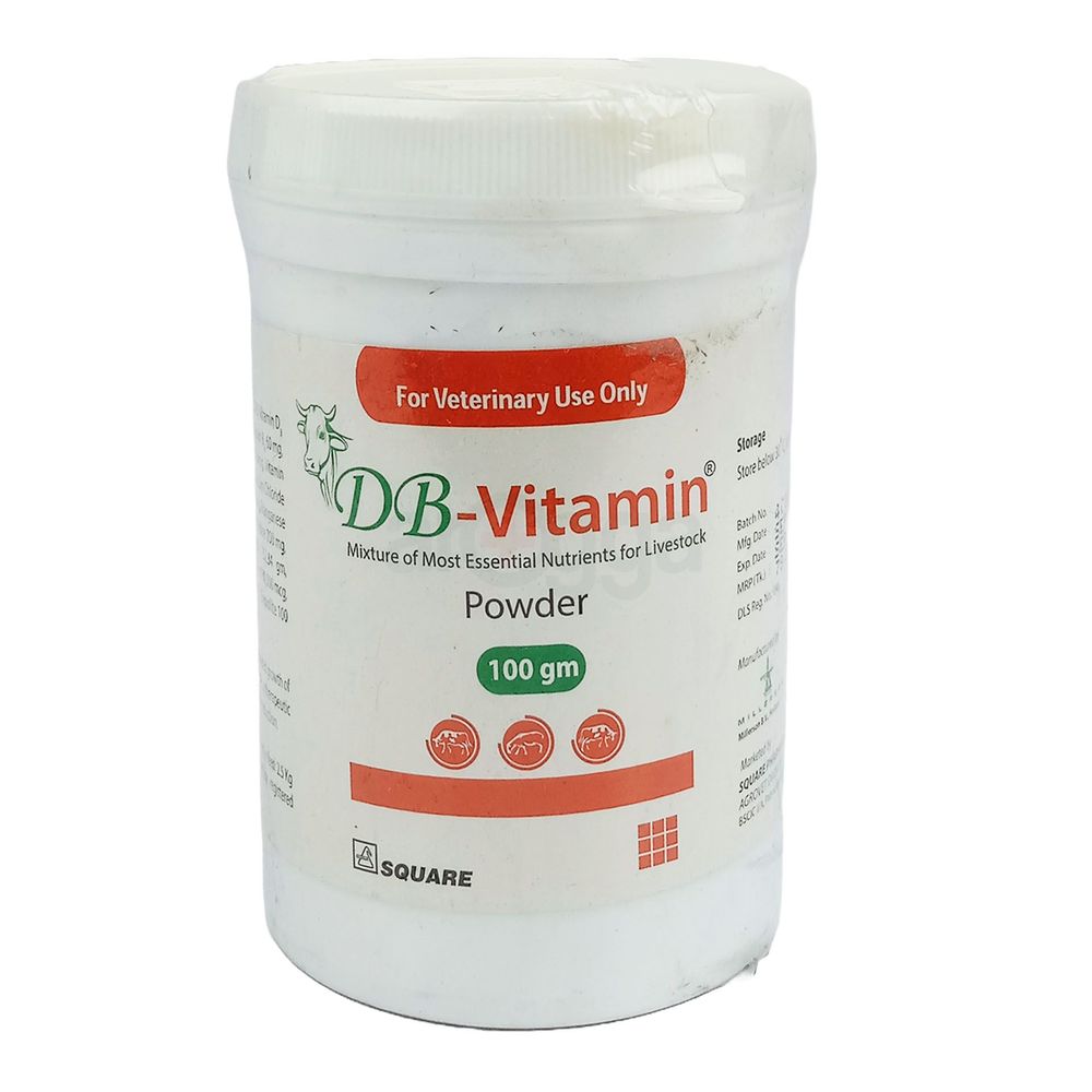 DB-Vitamin Powder 100gm  