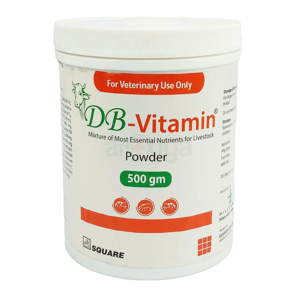 DB-Vitamin Powder 500gm  