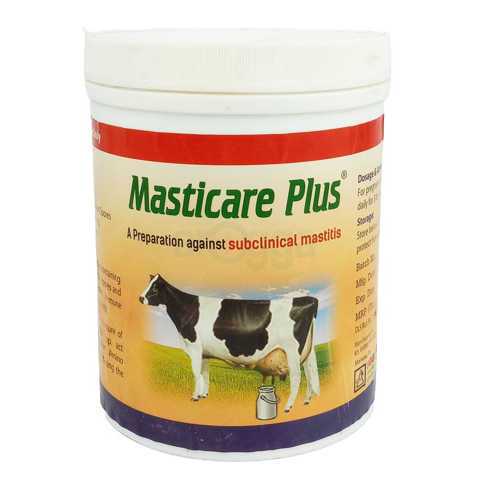 Masticare Plus Powder 500gm  