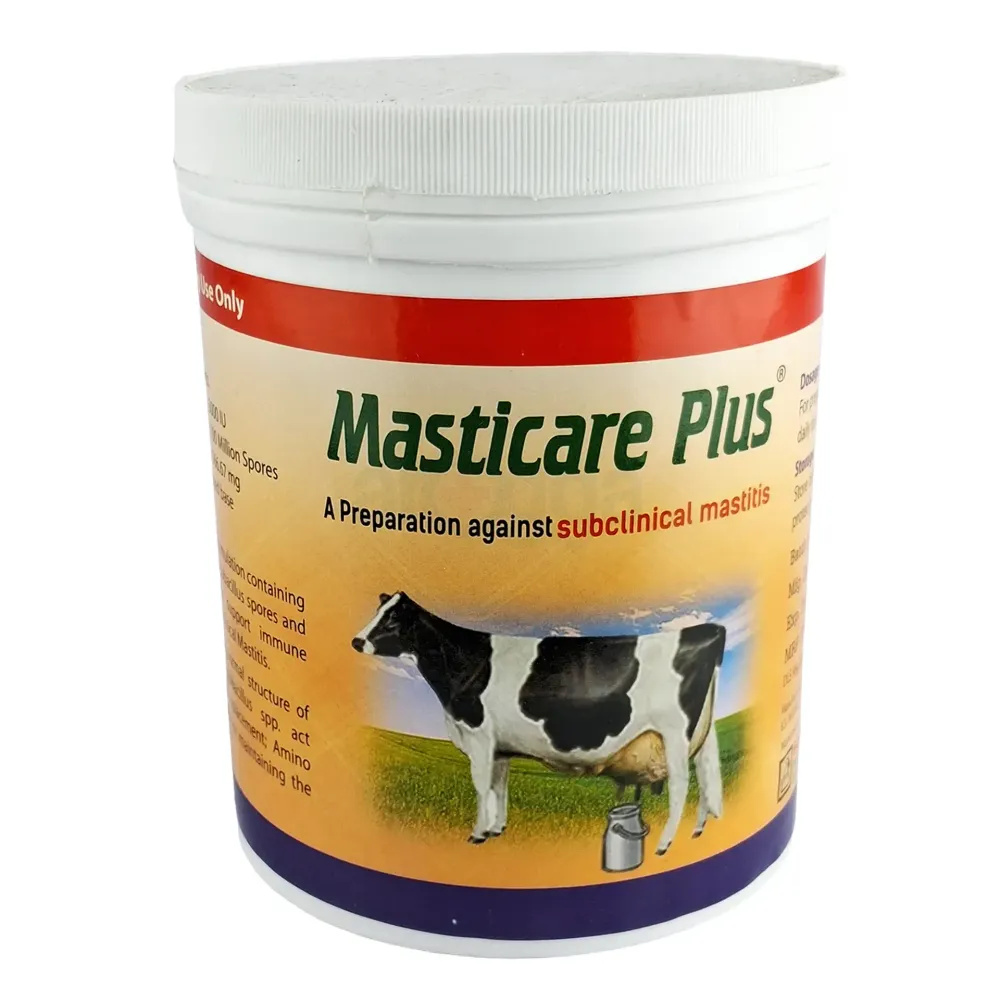 Masticare Plus Powder 500gm  