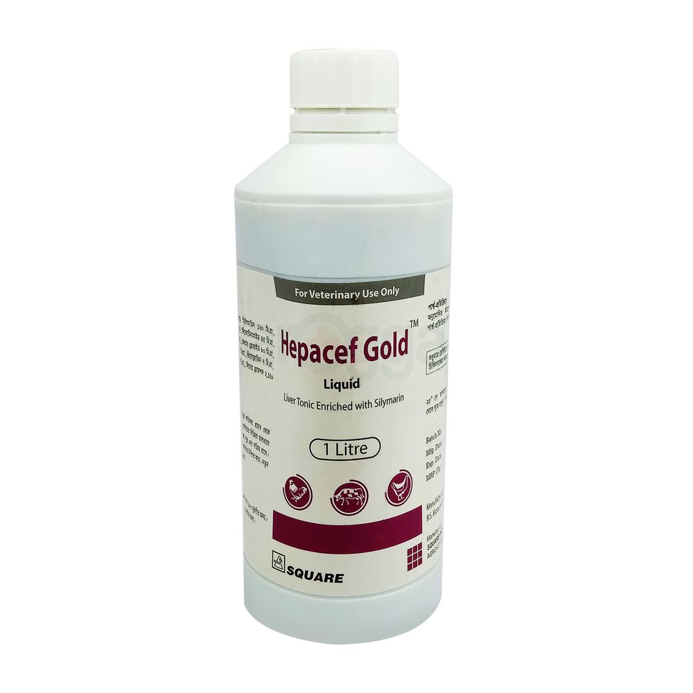 Hepacef Gold Liquid 1000ml  