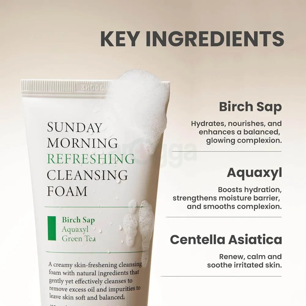 Axis- Y Sunday Morning Refreshing Cleansing Foam  