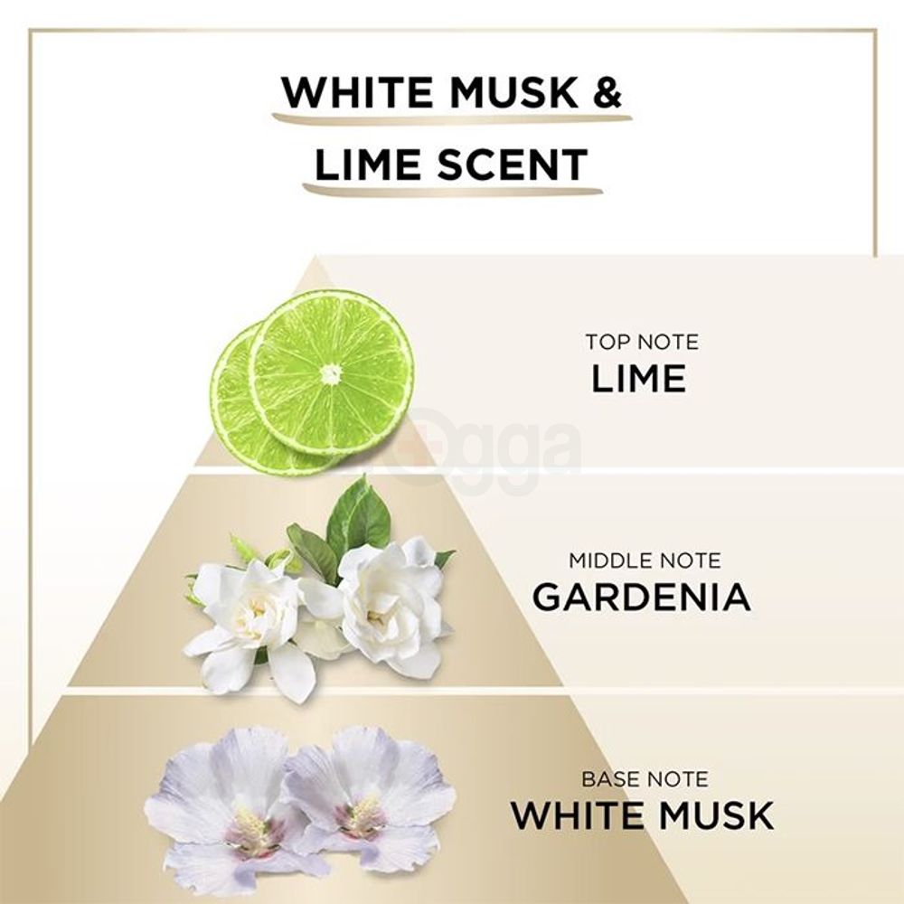 Pantene Shampoo Miracles Bond Repair Shampoo with Mutenka & Gentle Repair  