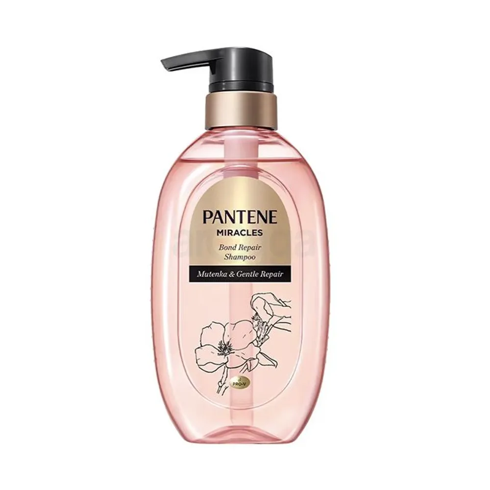 Pantene Shampoo Miracles Bond Repair Shampoo with Mutenka & Gentle Repair  