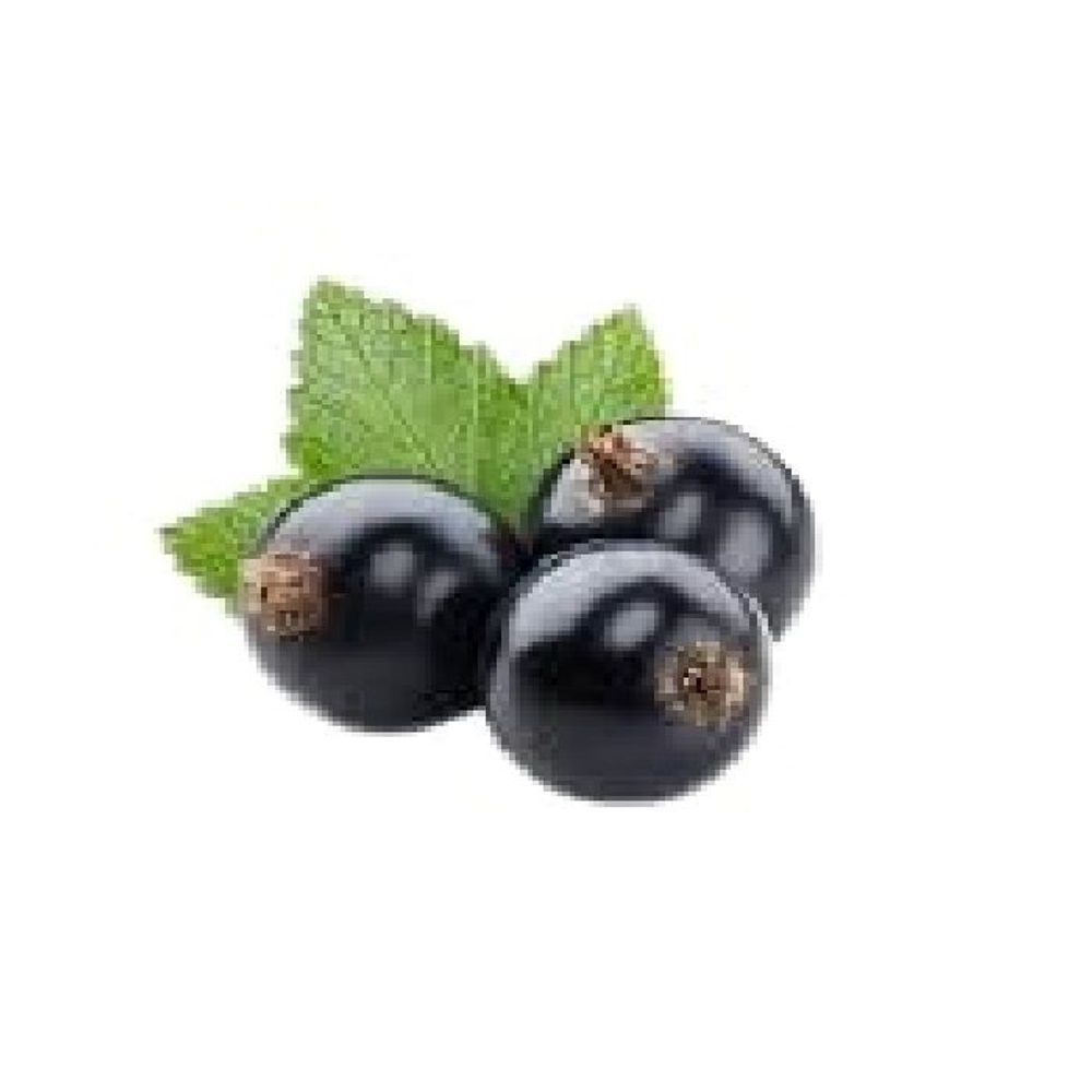 Sunquick Black Current Squash Drink Concentrate 700ml  