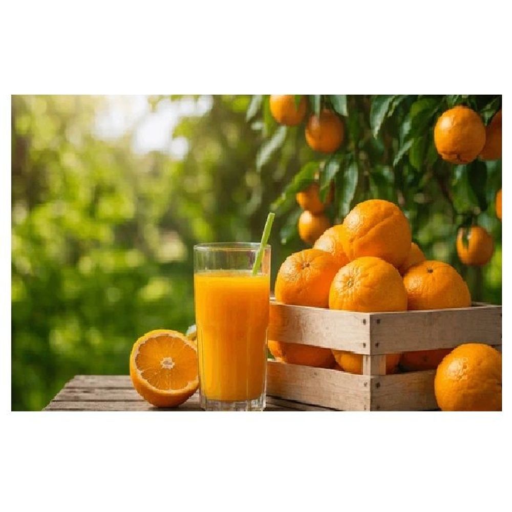 Sunquick Orange Fruit Drink 1Liter  