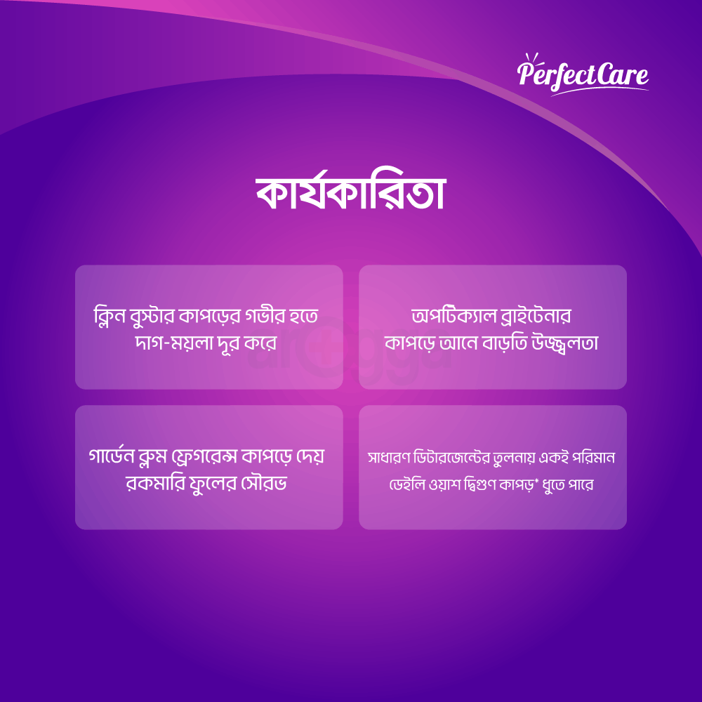 Daily Wash Detergent Powder 500g  