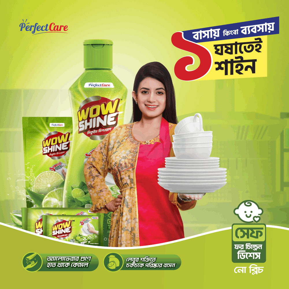 WOW Shine Liquid Dish Wash (Pouch) 250ml  