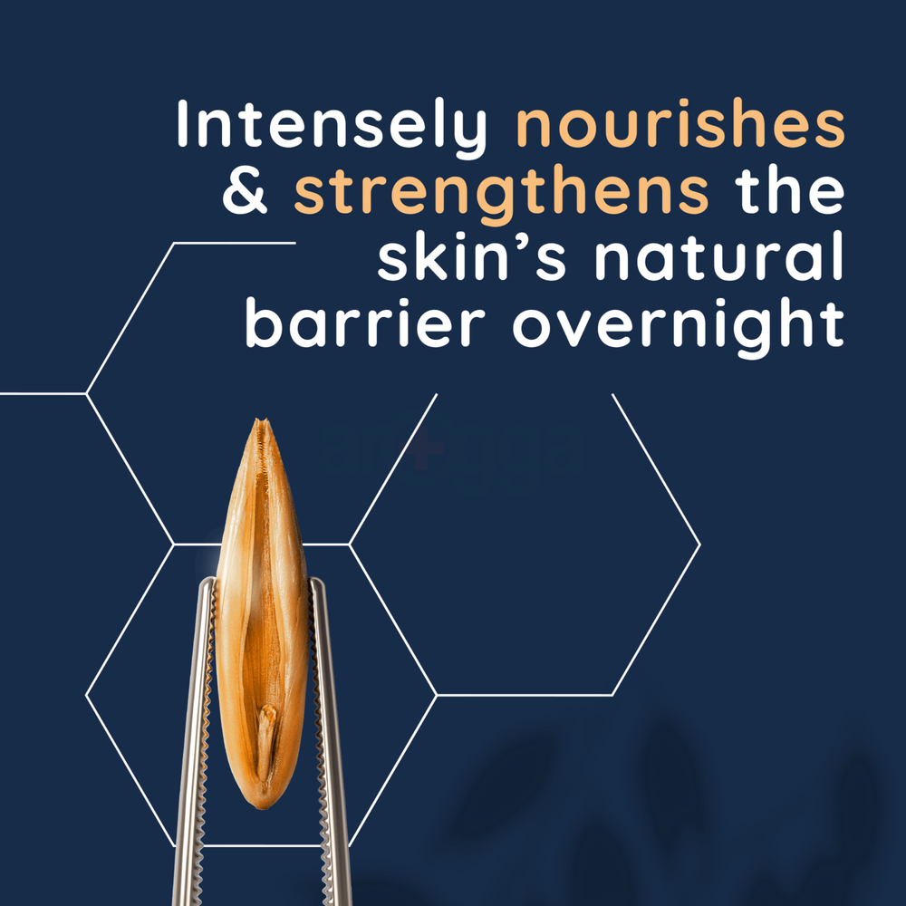 Aveeno Calm + Restore Re-Hydrating Night Cream for Sensitive Skin  