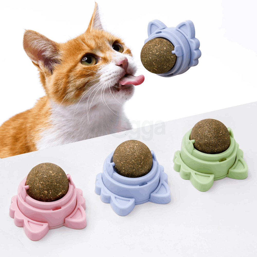 Cat Mint Toy Ball – Interactive Play  