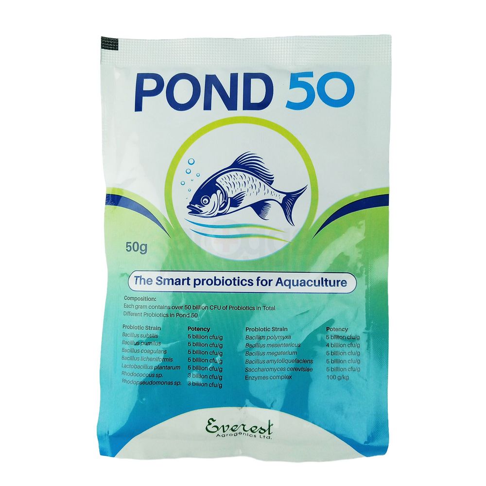 Pond 50  