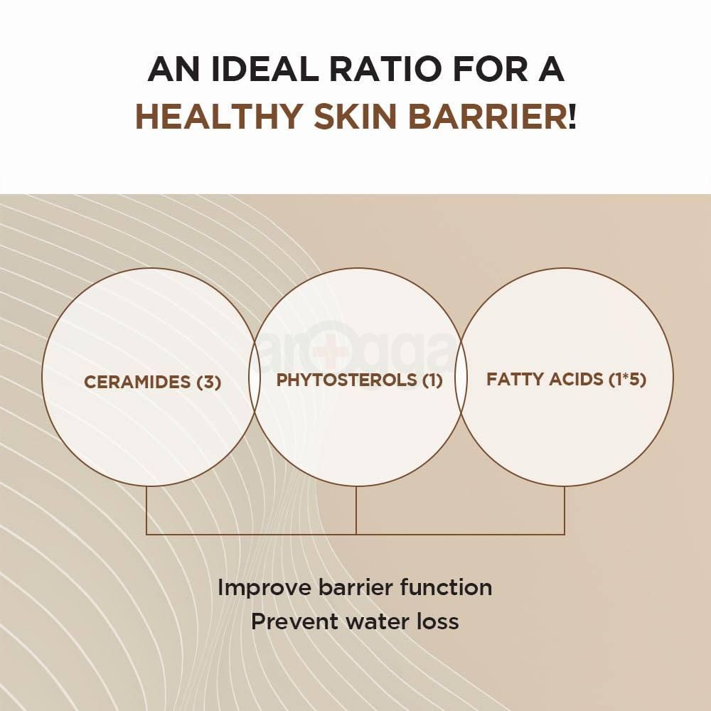 SKIN1004 Madagascar Centella Probio-Cica Intensive Ampoule 95ml  