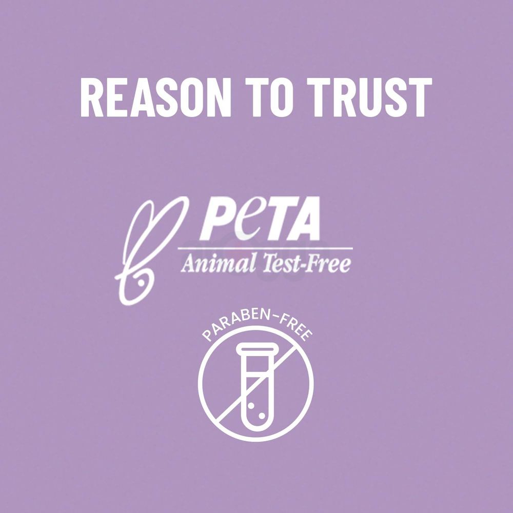 Swiss Beauty 5 Pcs Makeup Brush Set - Purple 03  