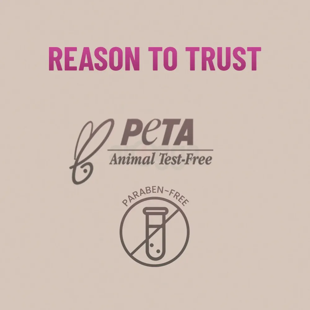 Swiss Beauty 5 Pcs Makeup Brush Set - Pink 02  