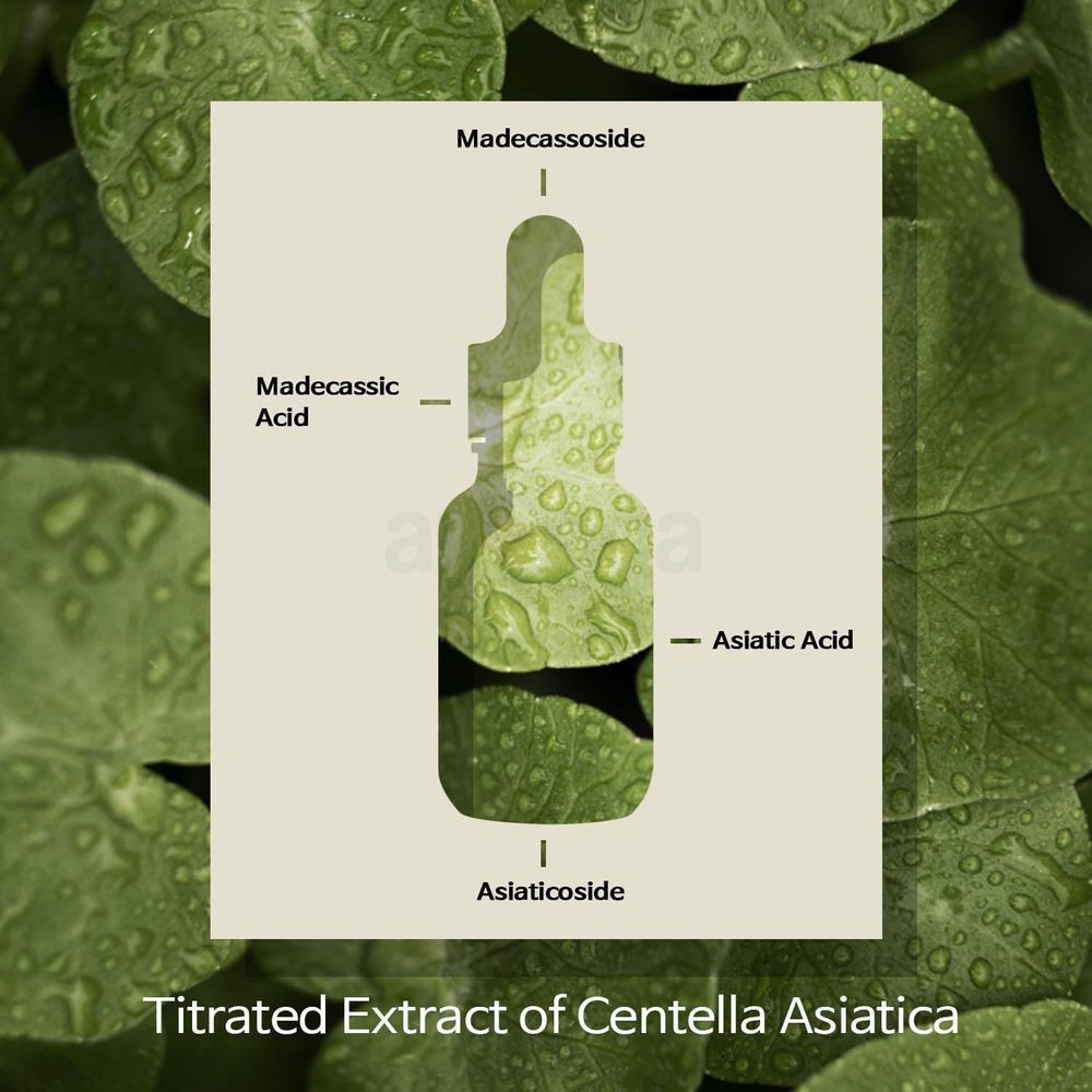 Cos De Baha LH Low Molecular Hyaluronic Acid TECA  Serum  