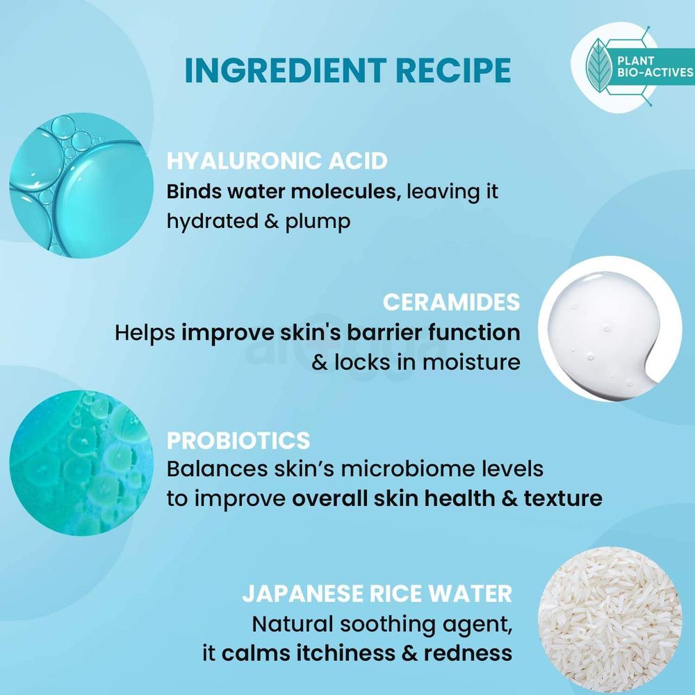 Dot and Key Blueberry Hydrate Barrier Repair Shower Gel with Ceramide  