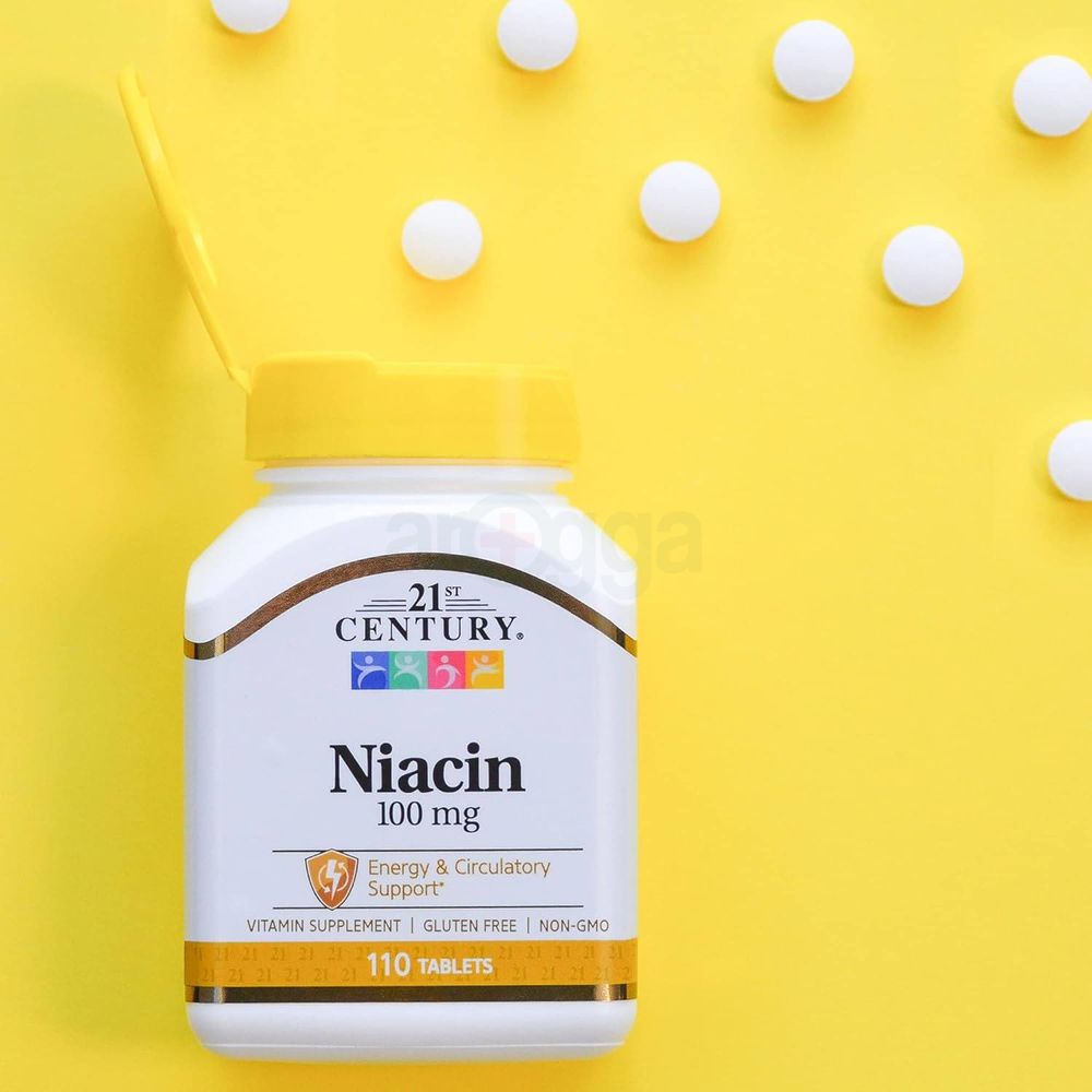21st Century Niacin - 100mg - 110 Tablets  