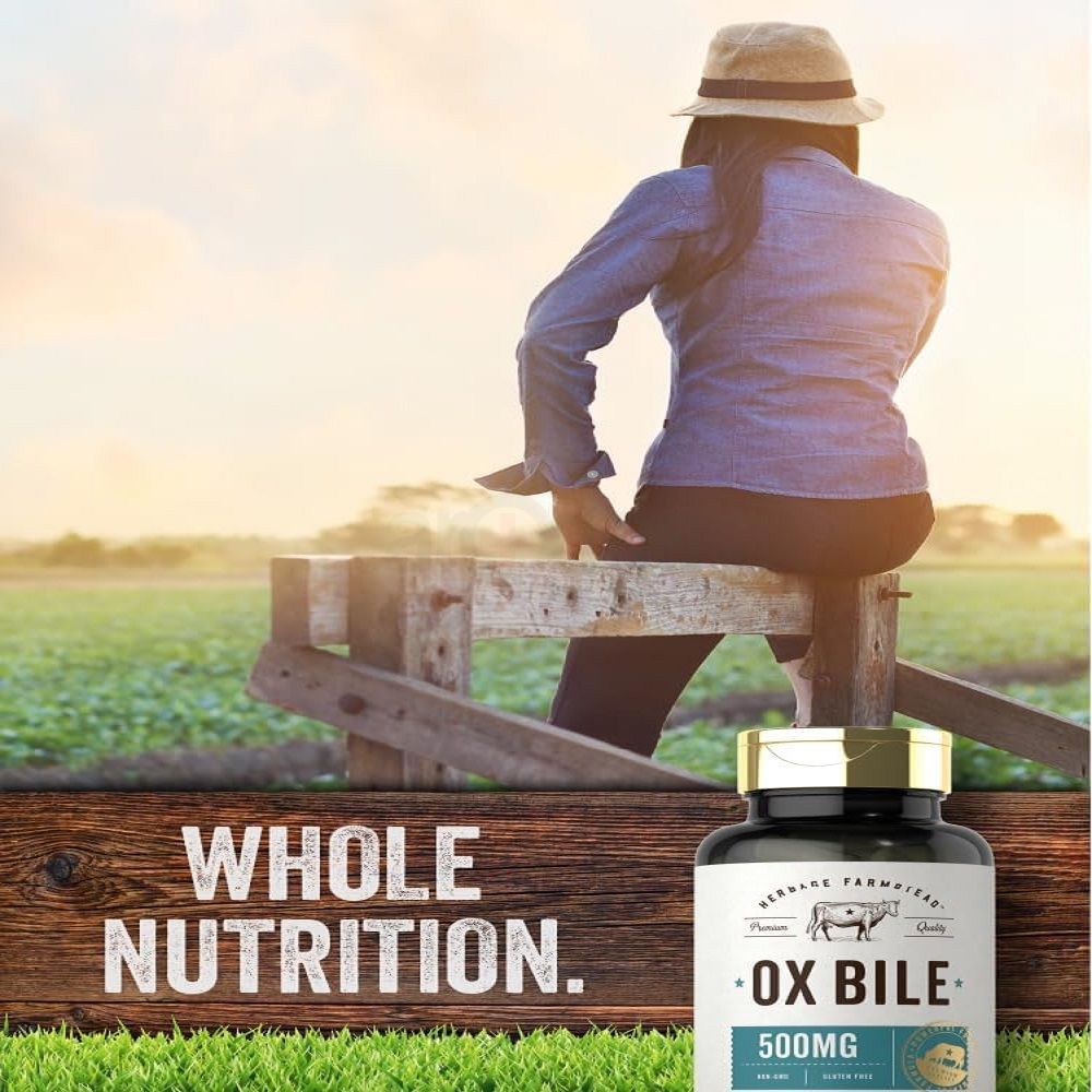 Carlyle Ox Bile 500mg - 60 Capsules  