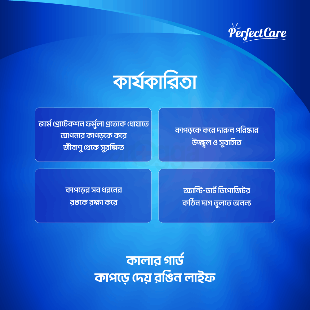 Color Guard Detergent Powder 1kg  (2L Container Free)  