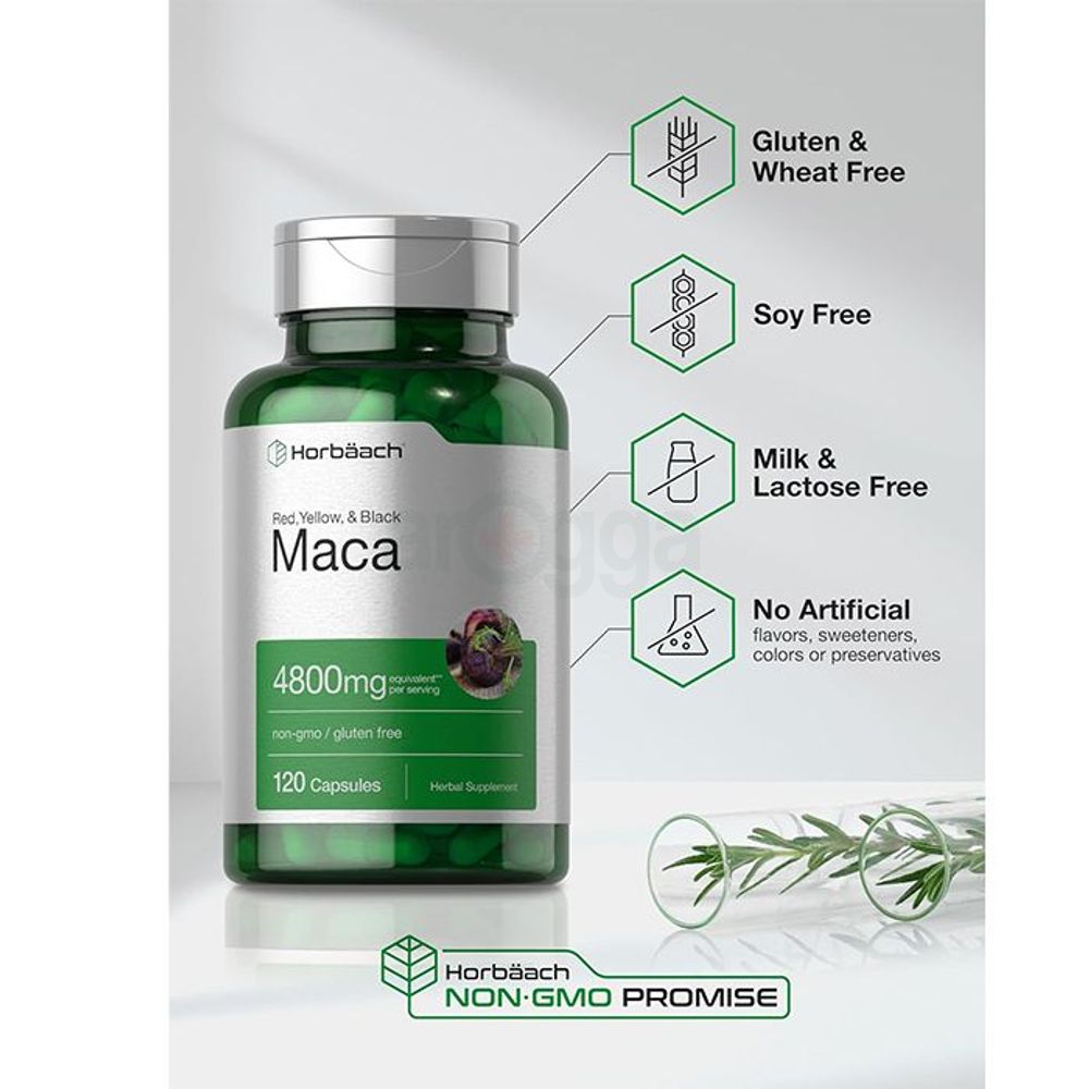 Horbaach Maca Root Capsules for Men and Women  