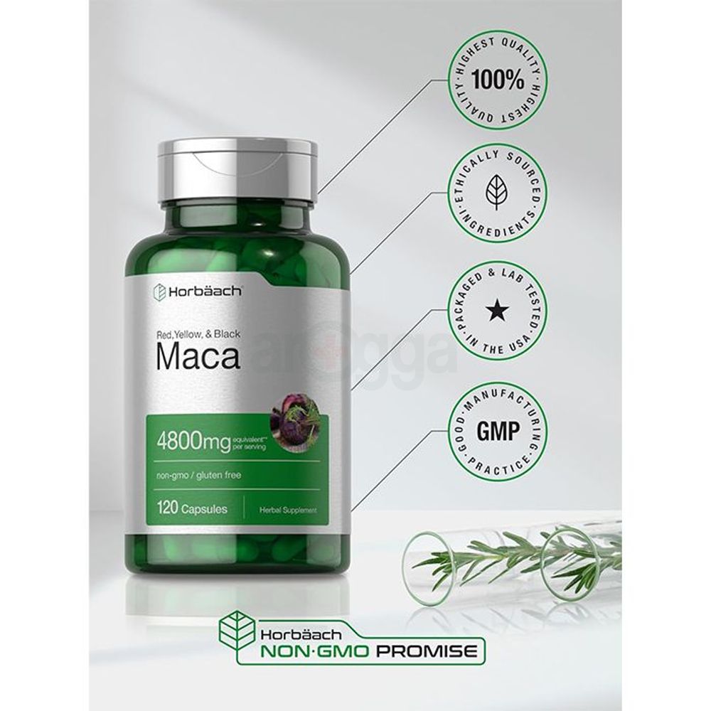 Horbaach Maca Root Capsules for Men and Women  