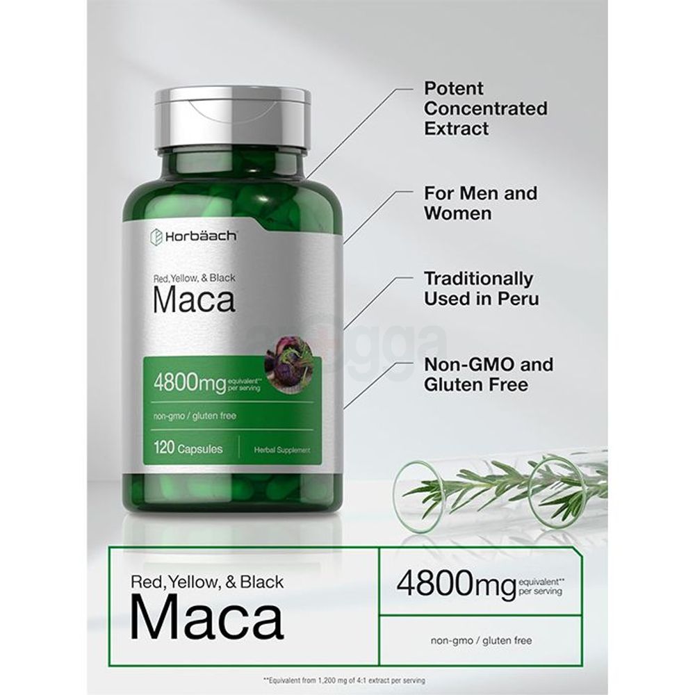 Horbaach Maca Root Capsules for Men and Women  