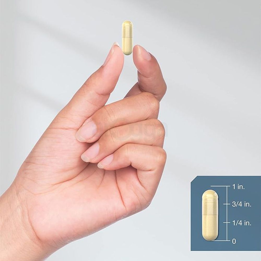 Horbaach Alpha Lipoic Acid with Biotin Optimizer - 600mg - 240 Capsules  
