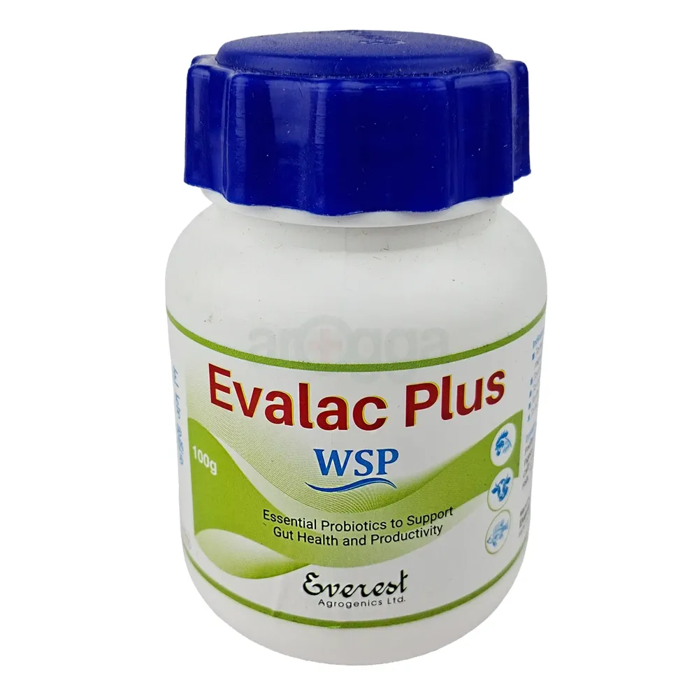 Evalac Plus WSP Essential Probiotics to Support Gut Health and Productivity  