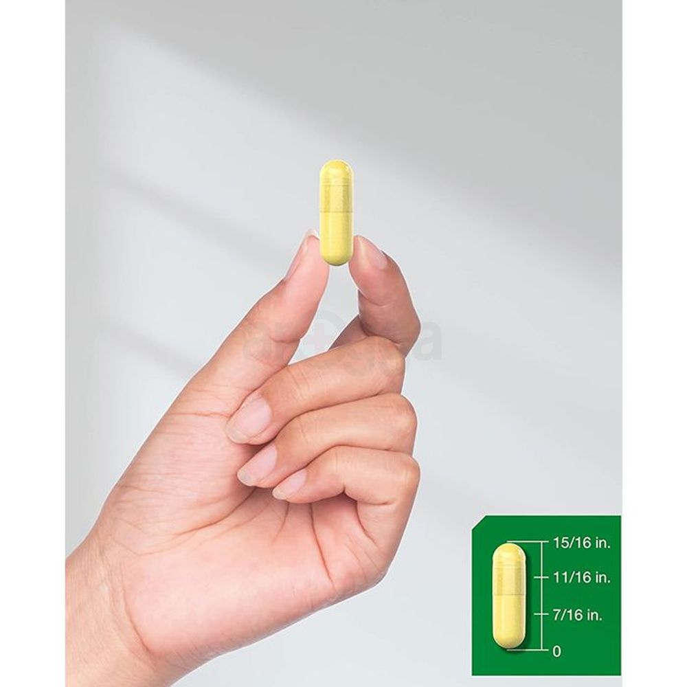 Horbäach Therapeutic Grade Berberine from Barberry Extract 120 Capsules  