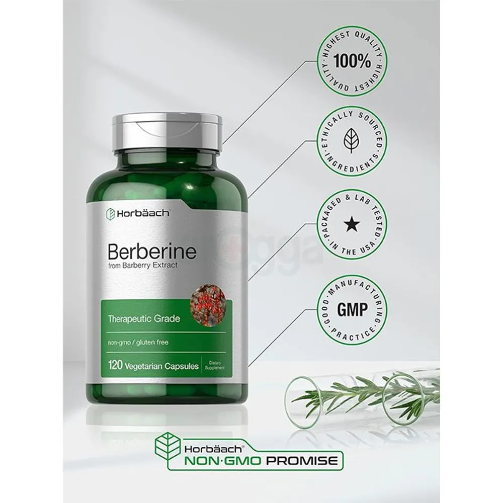 Horbäach Therapeutic Grade Berberine from Barberry Extract 120 Capsules  