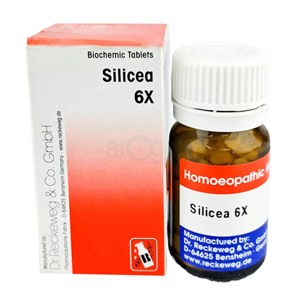 Dr. Reckeweg Silicea 6X Tablet 20g  