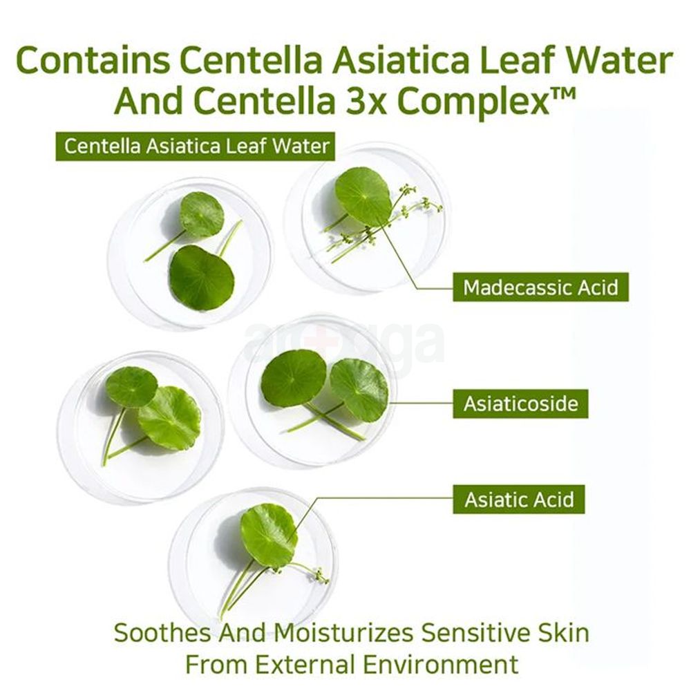 APLB 31.7% Azelaic Acid Peptide Ampoule Serum 40ml  