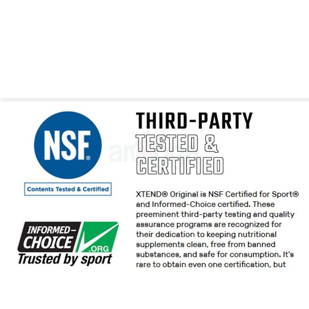 XTEND BCAA, Strawberry Kiwi Splash Protein Powder - 30 Serving  