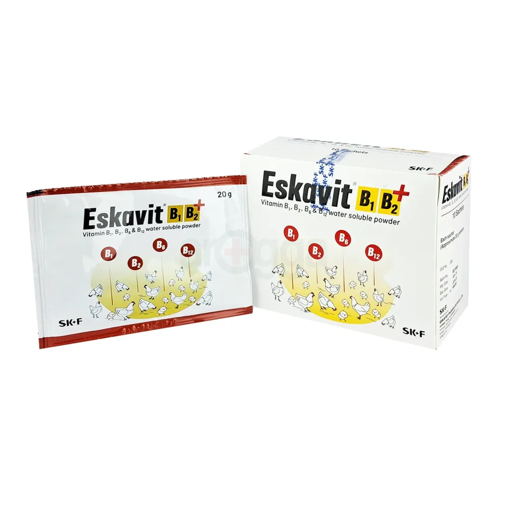 Eskavit B1B2 Plus  20gm Sachet  
